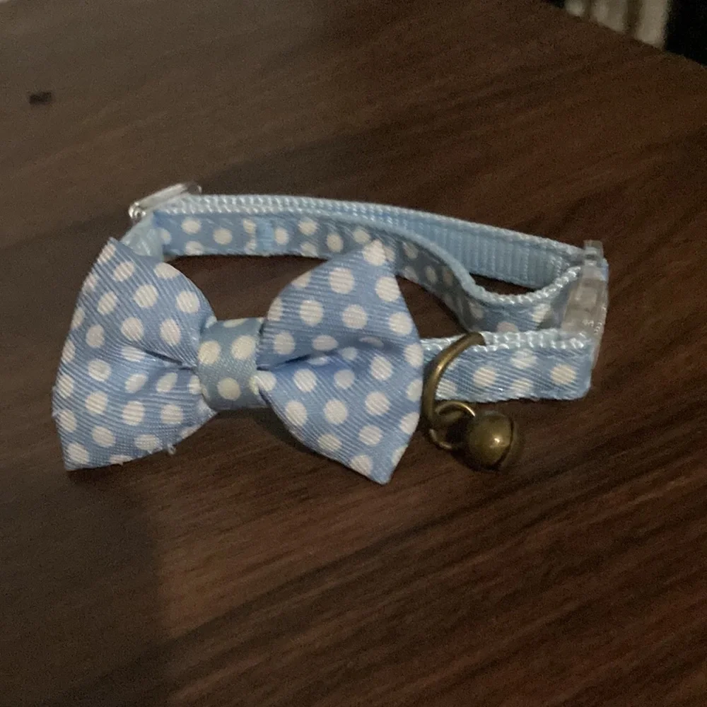 Blue and white cat collar, with bow and bell